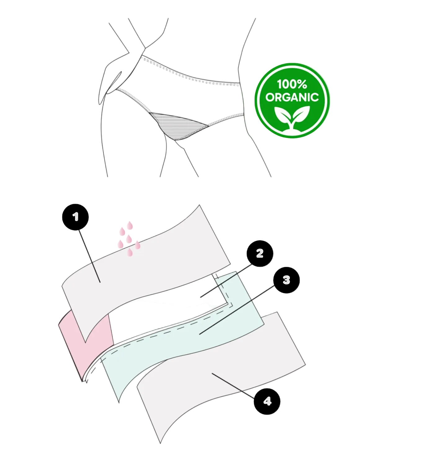 How do period panties work?